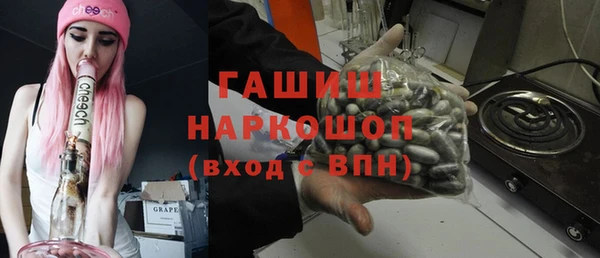 мдпв Новозыбков